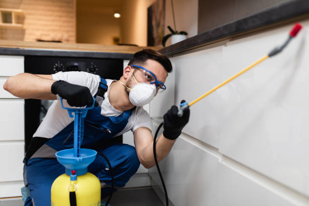 Best Pest Inspection Near Me  in Bethel Rk, PA