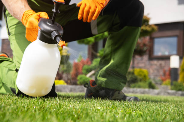Trusted Bethel Park, PA Pest Control Experts