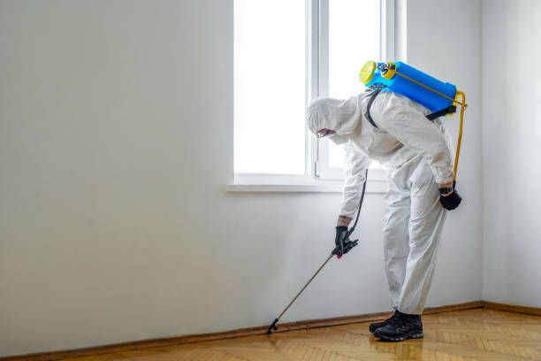 Best Pest Removal Services  in Bethel Rk, PA