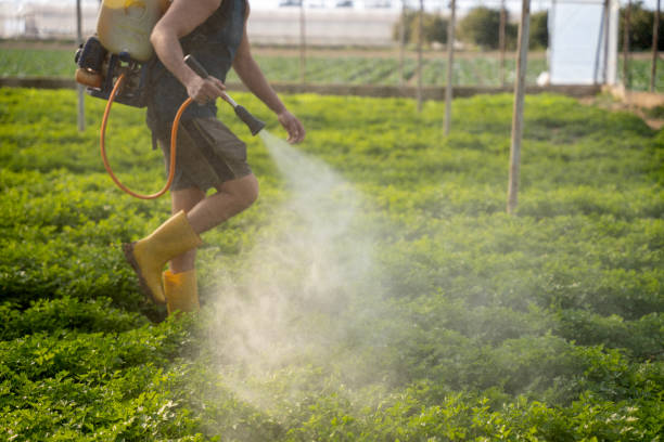 Best Pest Control for Homes  in Bethel Rk, PA