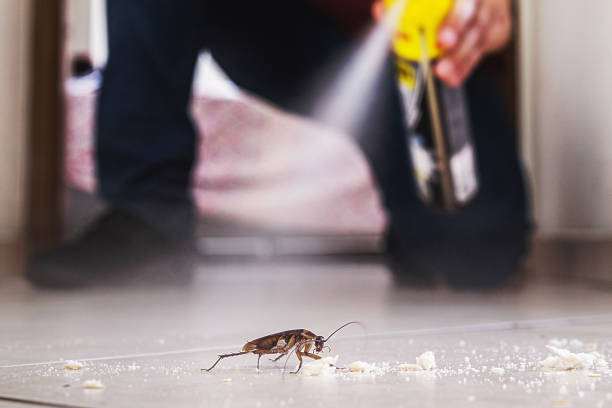 Trusted Bethel Park, PA Pest Control Experts