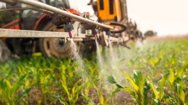Best Ant Control Services  in Bethel Rk, PA