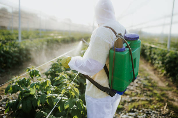 Best Affordable Pest Control Services  in Bethel Rk, PA